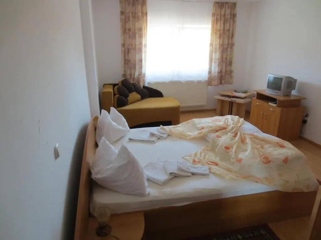 Pensiunea Hera Standard - Chambres