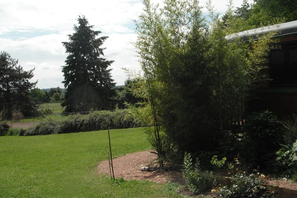 Afficher la photo 6 — La Roulotte de l'Albizia