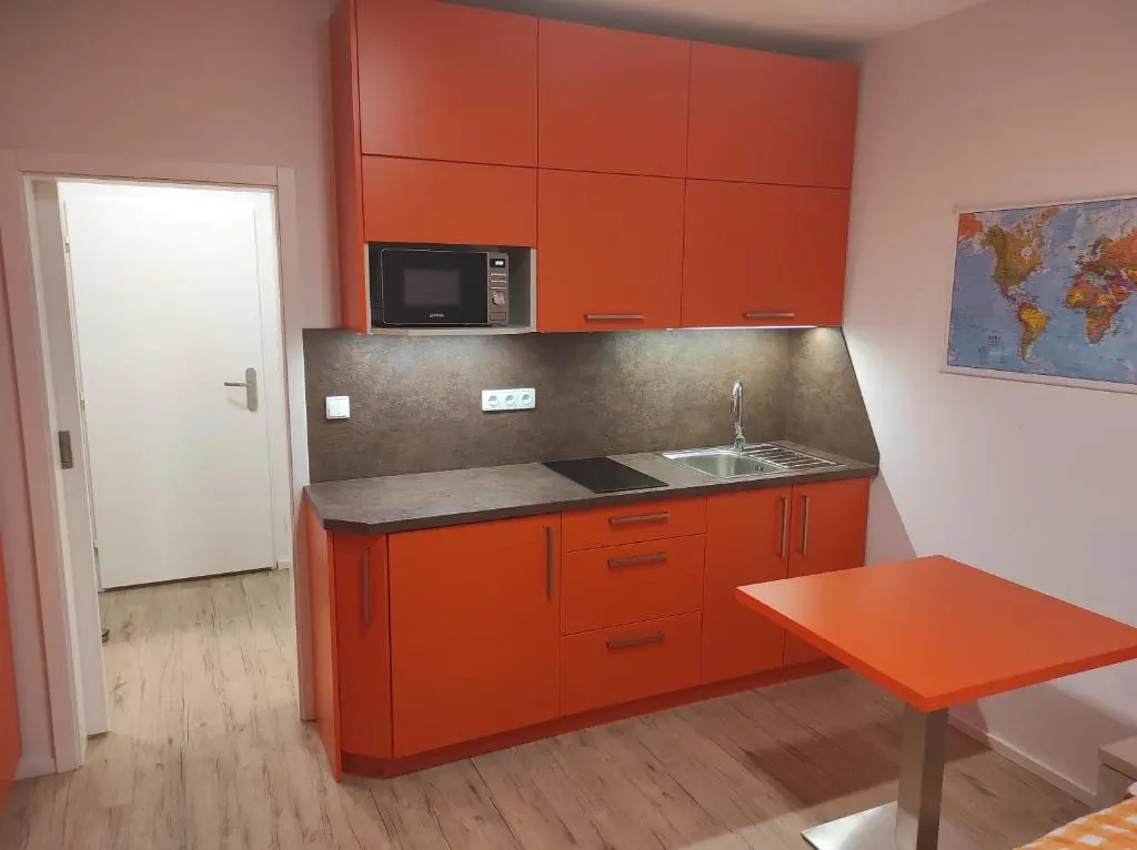Deluxe Double room (full double bed)