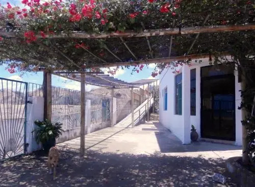 Punta Cocos Beach Suites - фото 3