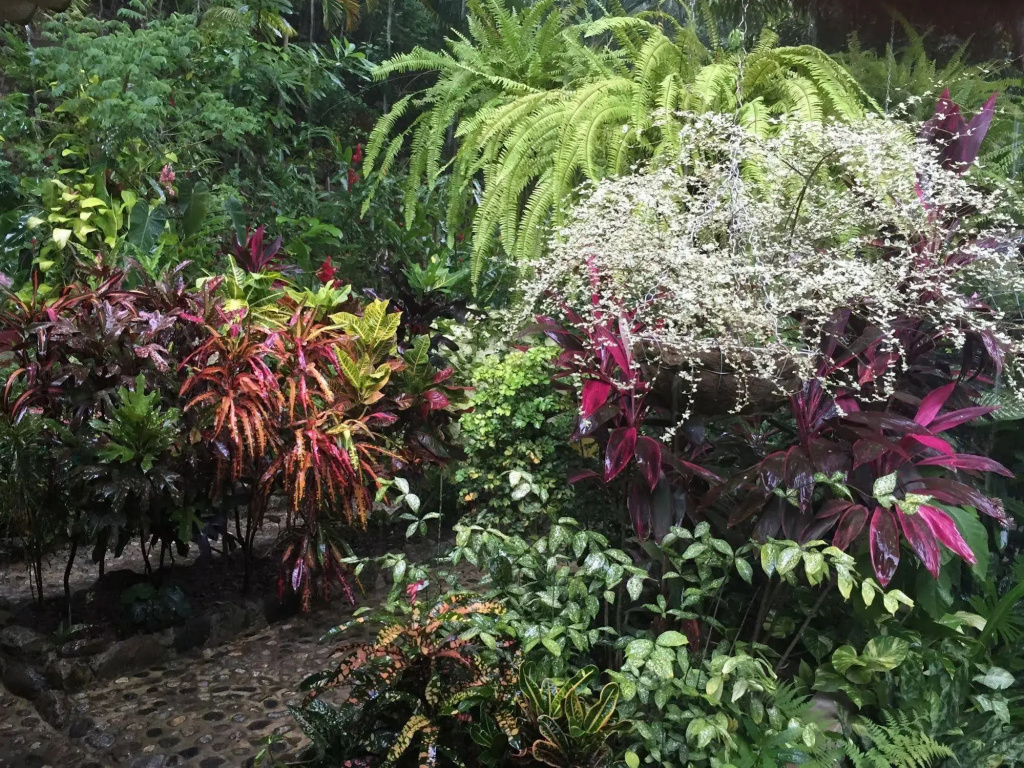 Sierra Sanjuan Ecolodge