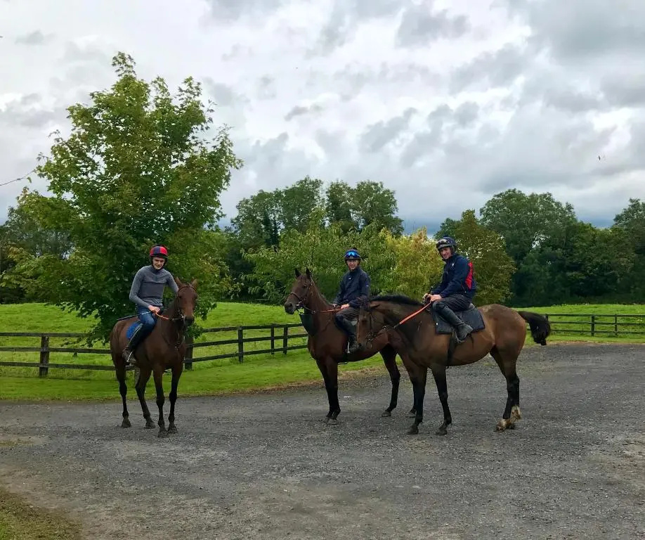 Rossmanagher Country House - Général