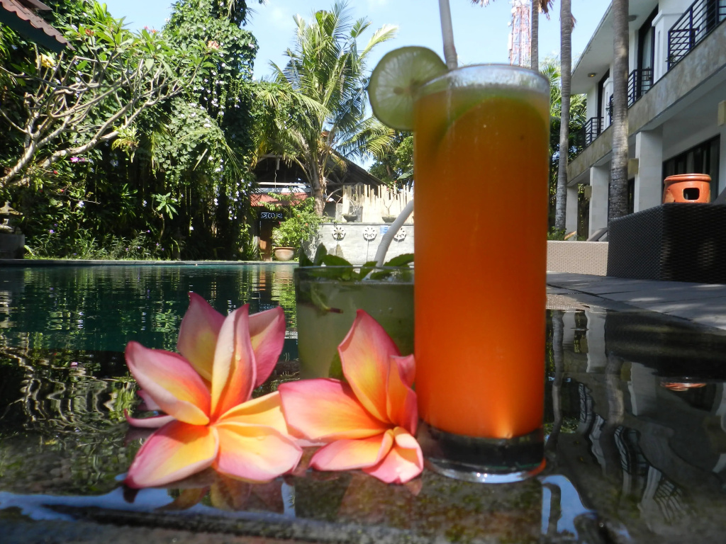 Puri Maharani Boutique Hotel - Général