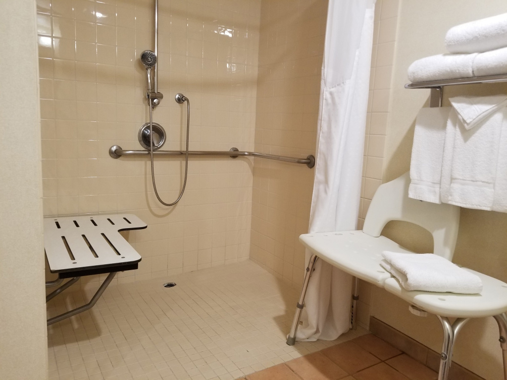 Holiday Inn Hotel & Suites Anaheim by IHG - Général