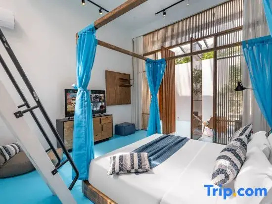 Comfort Suite