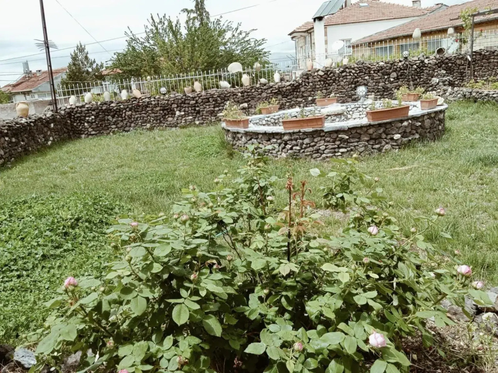 Image 25