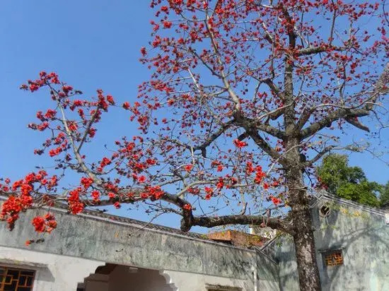 Ci'enlu Country Art Hotel