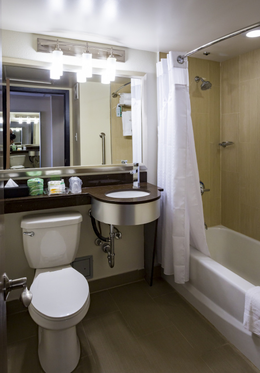 Holiday Inn Houston Downtown by IHG - Général