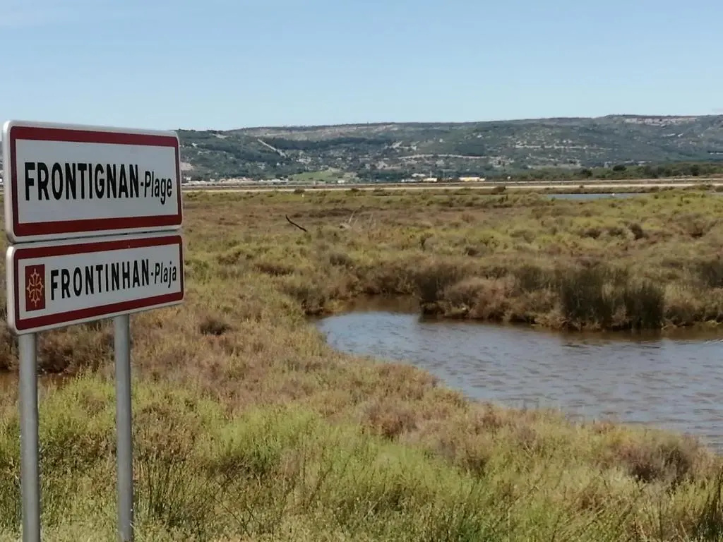 Standard Studio