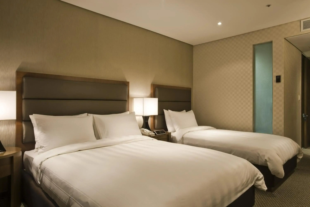 Lotte City Hotel Mapo - Général