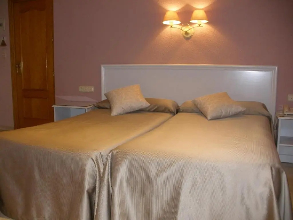 Standard Double room (twin beds)