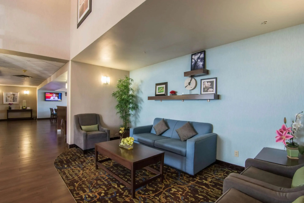 Comfort Inn & Suites Airport South - Général