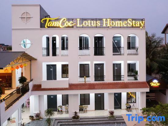 Tam Coc Lotus Homestay in Hoa Lu