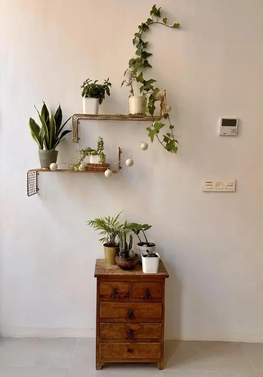 Beautiful house in Cartagena's historic center