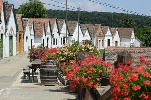 Hotel Cabernet - фото 20