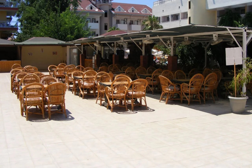 Hotel photo 12