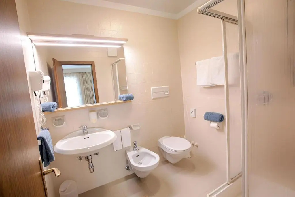 Standard Double room with balcony and with mountain view (full double bed)