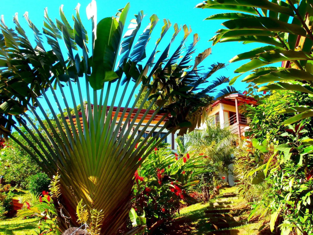 Korovesi Sunshine Villas