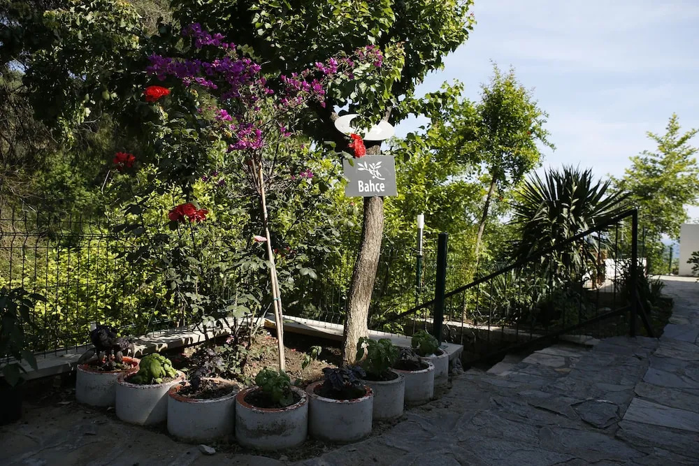 Kazdagları Saglikli Yasam Tatil Koyu