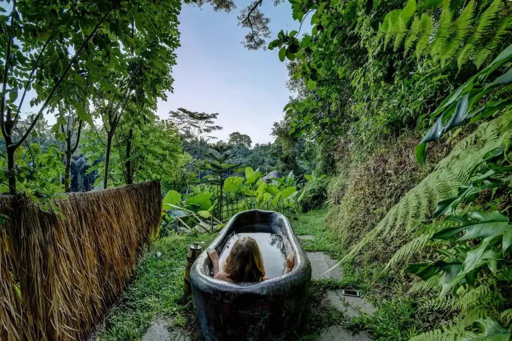 Bambu Indah