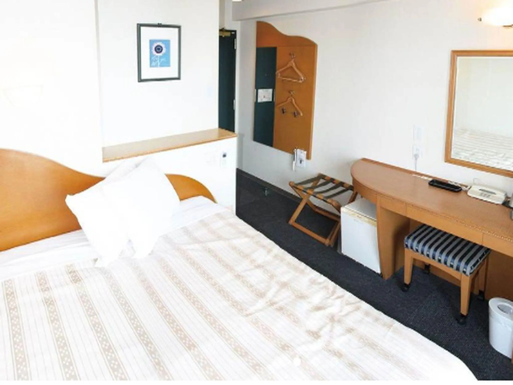 Standard Double room with city view (full double bed)