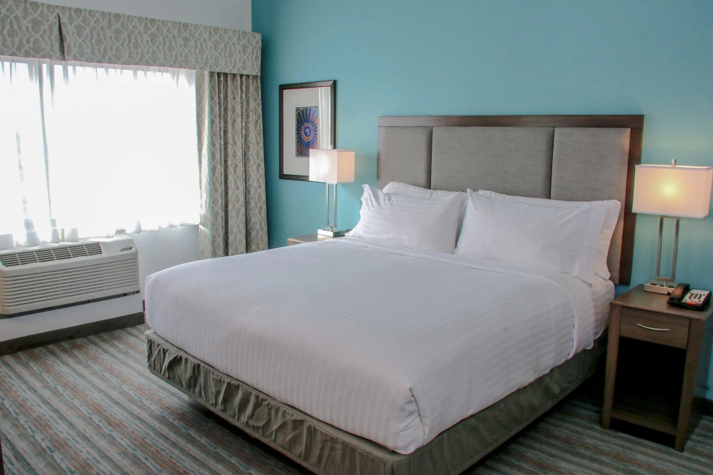 Holiday Inn & Suites Denver Tech Center-Centennial by IHG - Chambres
