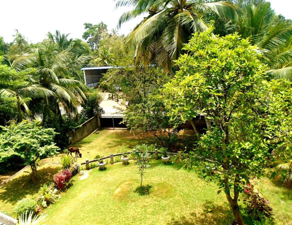 Bee Line Home Stay - фото 13