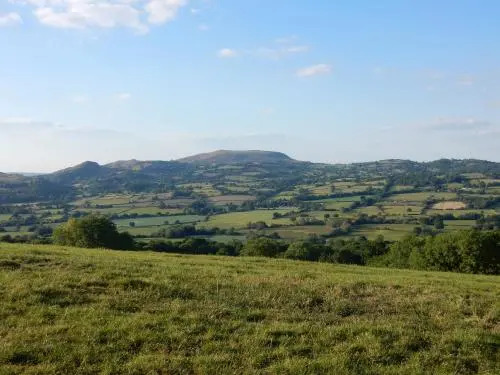 Image 10