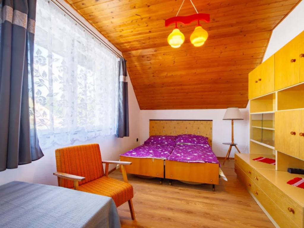 Paulownia - фото 5