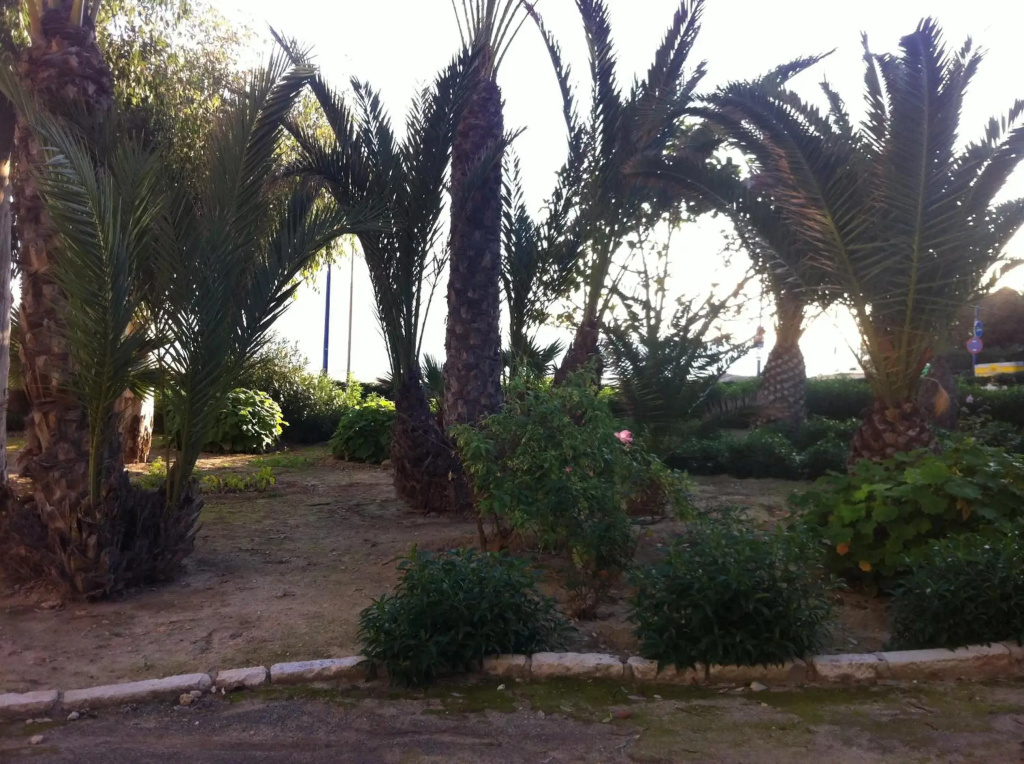 Calle la Cala, 2