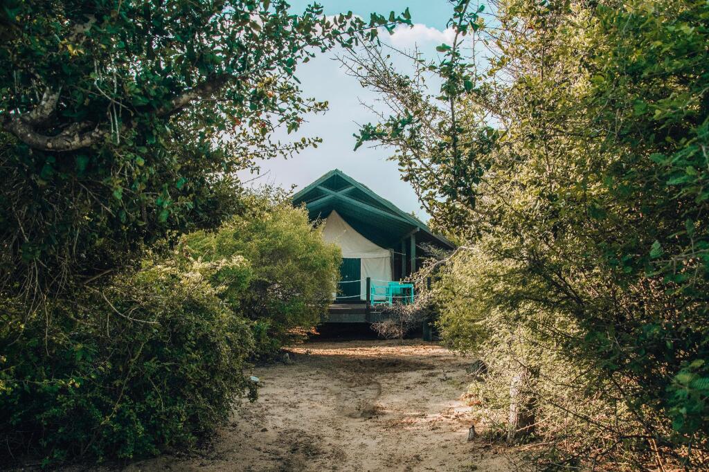 Jetwing Safari Camp - All Inclusive