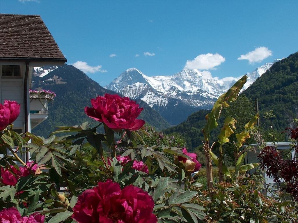Зигрисвиль Швейцария