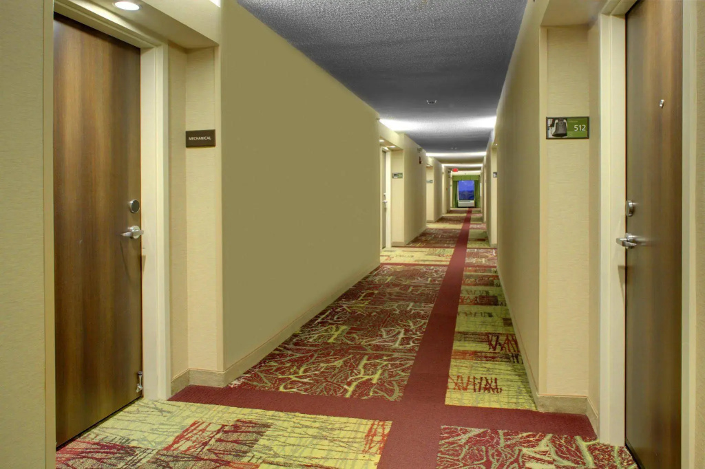 Hampton Inn Greenville I-385 - Woodruff Rd. - Général