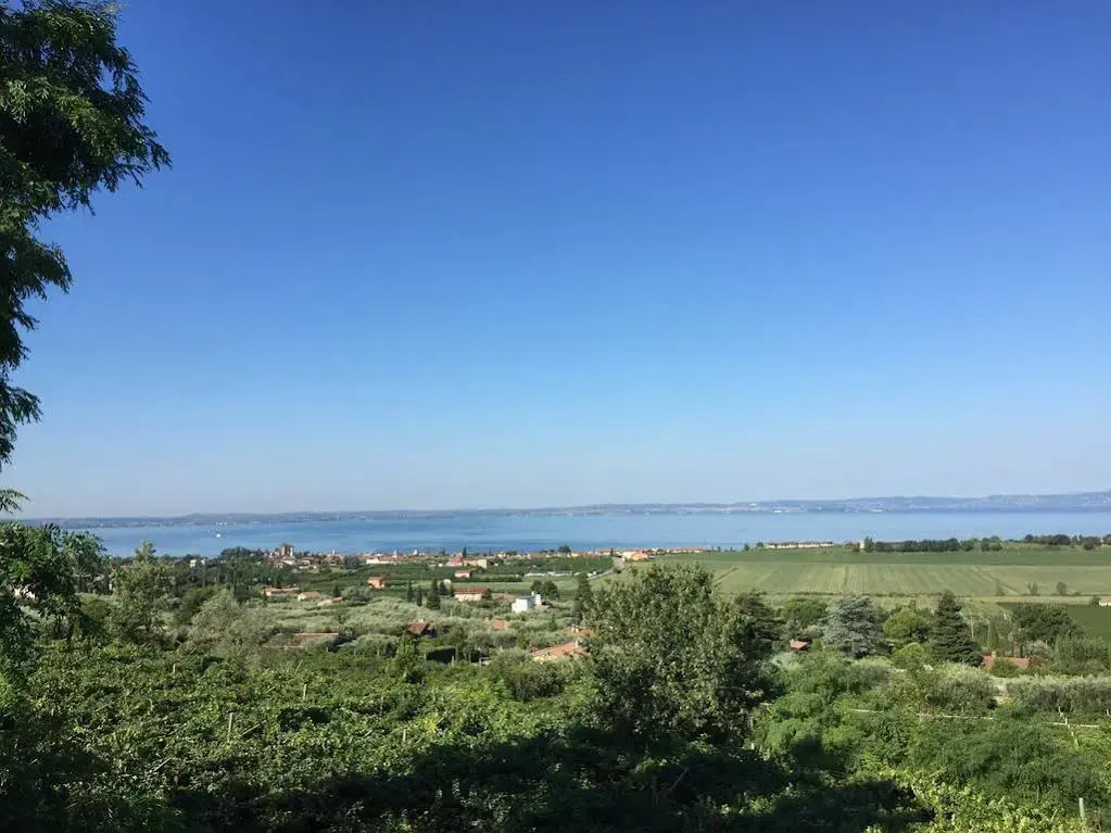Agriturismo il Grappolo
