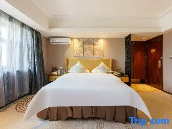 Standard Double room with city view (full double bed)
