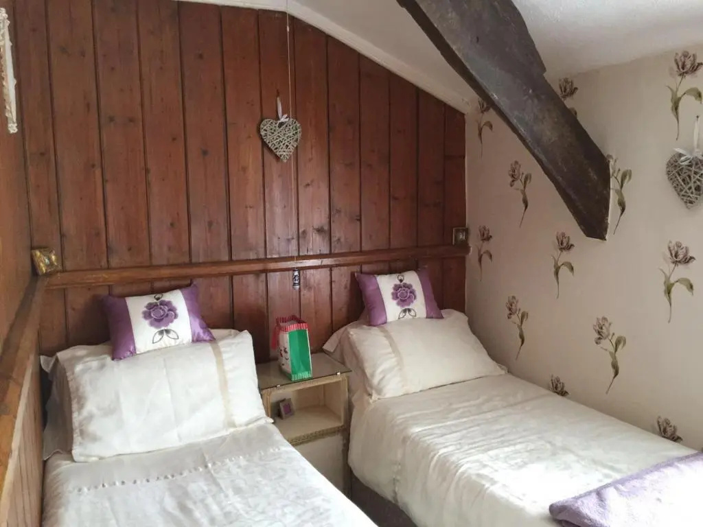 Standard Double room with garden view (twin beds)