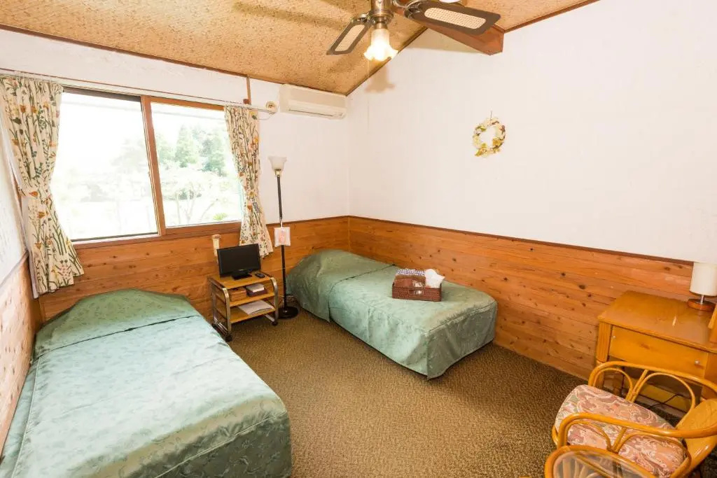 Standard Double room (twin beds)