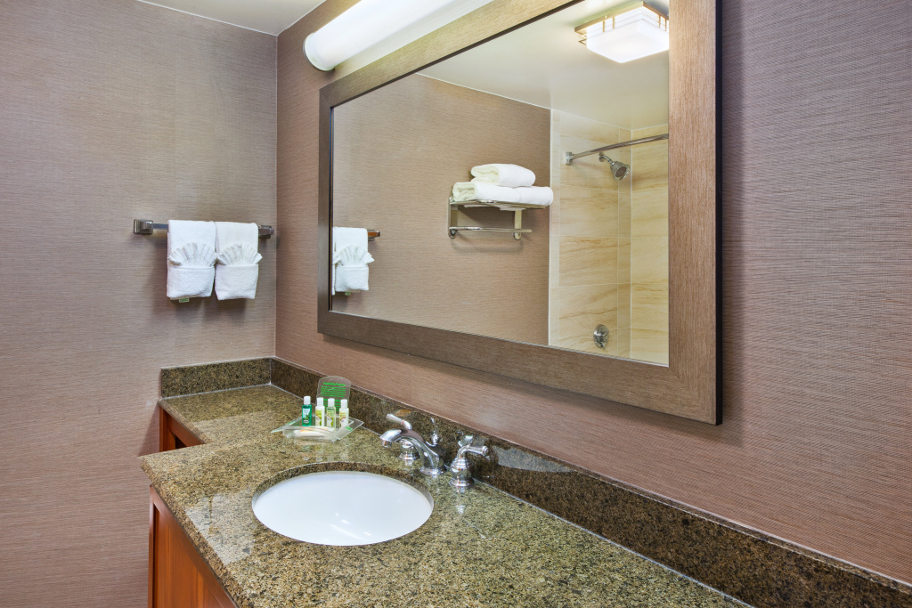 Holiday Inn Washington-Dulles International Airport by IHG - Général
