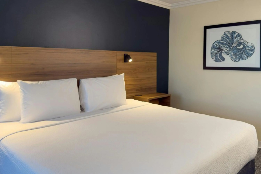 Courtyard by Marriott Toluca Airport - Général