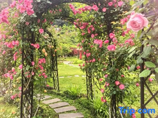 Qipan Yeshe Homestay (Zhangjiajie National Forest Park)