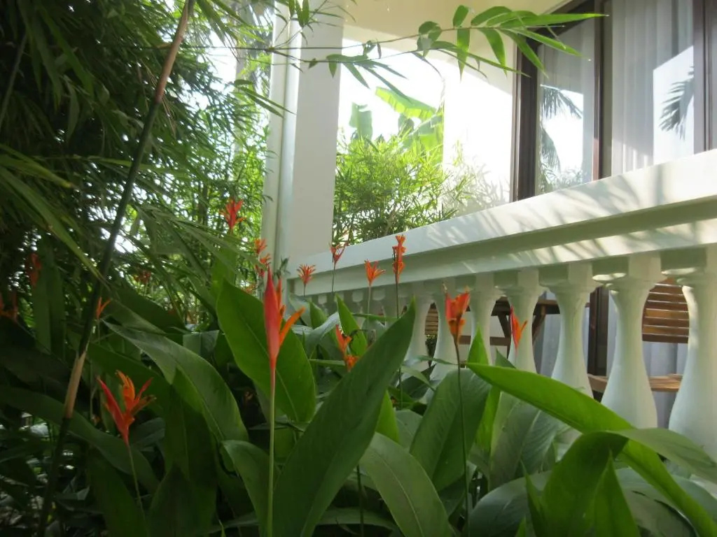 Deluxe Double room with garden view (full double bed)