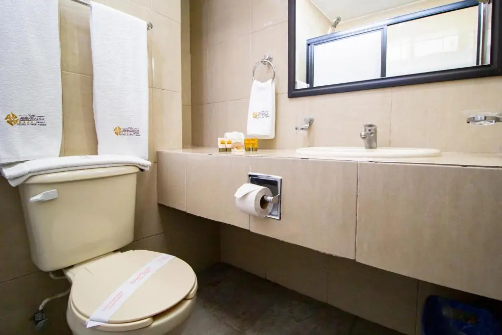 Hotel Ambassador Merida - Chambres