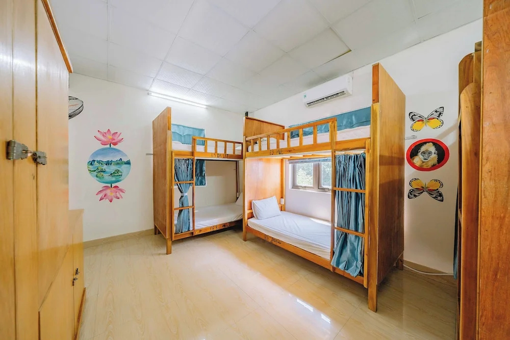 Bed in Dorm
