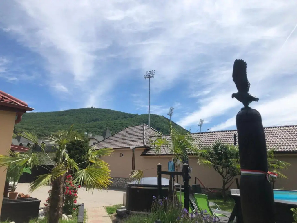 Viki Vendégház - фото 25