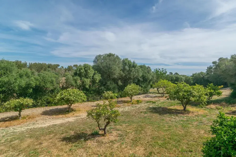 Son Barrigo - Villa With Private Pool In Porreres