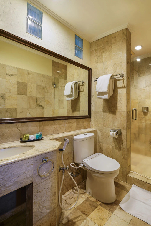 Deluxe Double room (twin beds)
