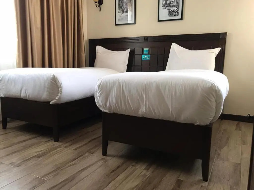 Deluxe Double room (twin beds)