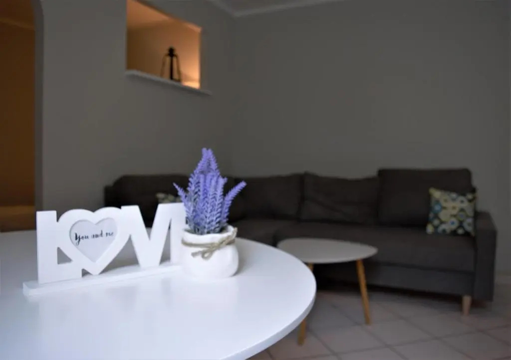 Basement Apartment