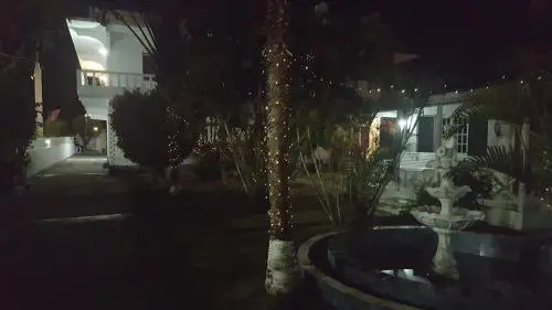 Palm Tree Guest House