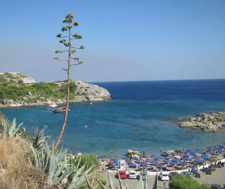 Beach & Waterfront